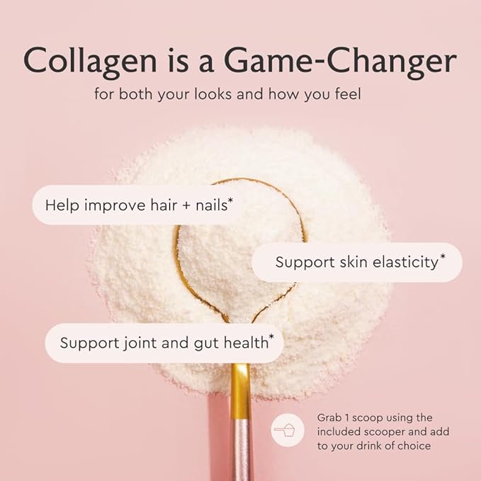 Alaya Multi Collagen Powder - Type I, II, III, V, X Hydrolyzed Collagen Peptides Protein Powder Supplement with MSM + GC (Chocolate)