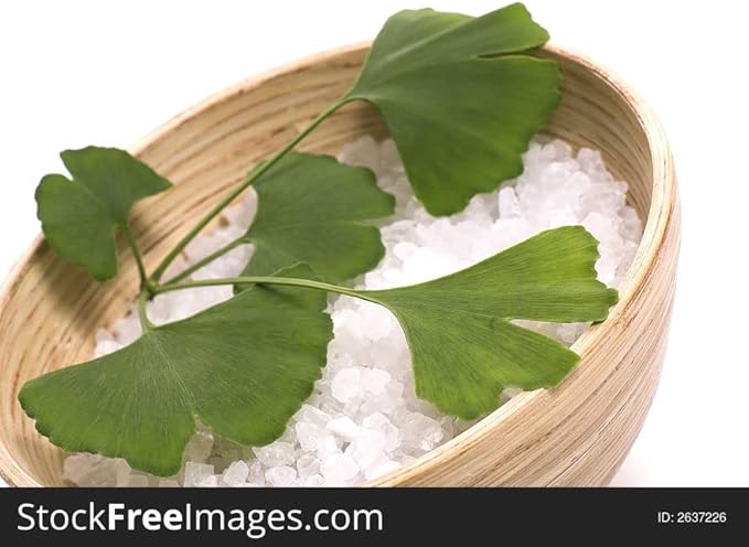 Wildcrafted Ginkgo Biloba Leaf Powder 16oz The Bloomin Herb Shoppe No Additives No Chemicals Tea