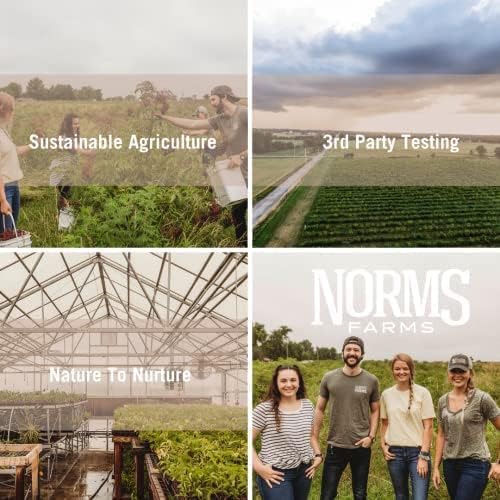Norm's Farms Daily Immune Elderberry Gummies - Vitamin C, Zinc & Probiotics - Vegan, Gluten Free, Kosher, Non-GMO - 60 Gummies