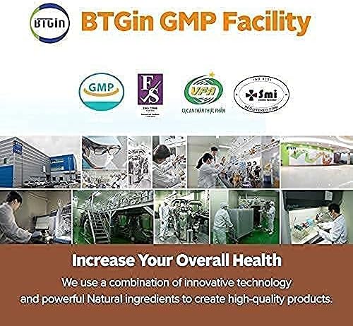 Saponin Hanppuri Immune and Stamina Boost + VITA Ginseng Kids Immune Support and Memory Function for Children Premium Bundle