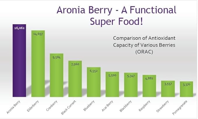 Organic Aronia Berry Powder | 52 Servings | Aronia Extract from Black Chokeberry Plant | Black Chokeberry Supplement | Rich in Polyphenols | Aronia Berry Powder Organic