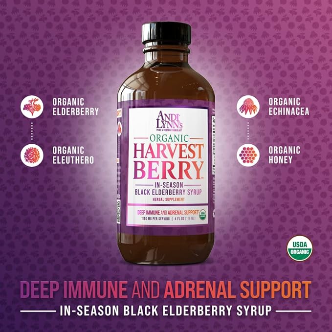 Andi Lynn's Organic Harvest Berry Syrup for Kids and Adults – Real Honey Elderberry Syrup for Immune Support - Therapeutic Formula - 4 Fl. Oz (Pack of 3)