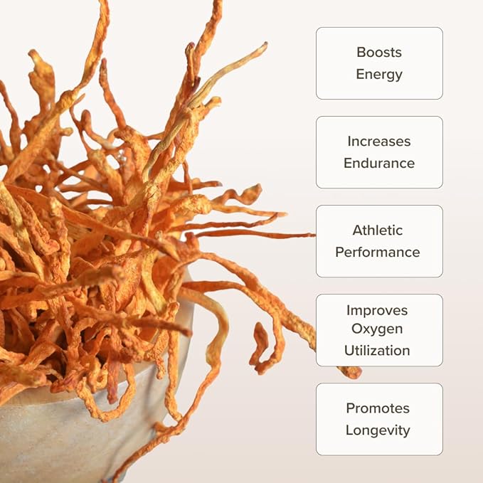 Cordyceps Mushroom Capsules by Bloomable I Energy and Endurance (120 Capsules)