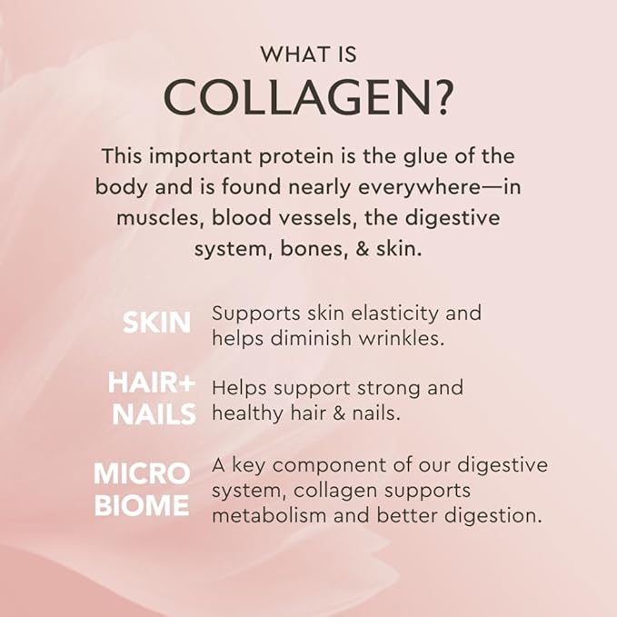 Alaya Multi Collagen Powder - Type I, II, III, V, X Hydrolyzed Collagen Peptides Protein Powder Supplement with MSM + GC (Vanilla)