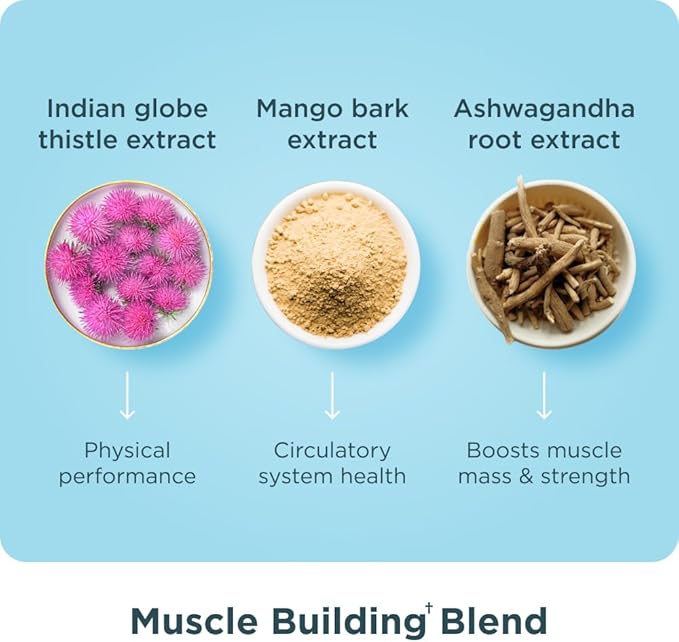 Ancient Nutrition Advanced Multi Collagen Protein Capsules Muscle, 90 Count