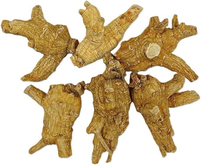 Hand-Selected A Grade American Ginseng Large Round Jumbo Size (4 Oz. Box)