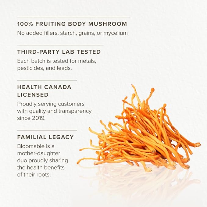 Cordyceps Mushroom Capsules by Bloomable I Energy and Endurance (120 Capsules)