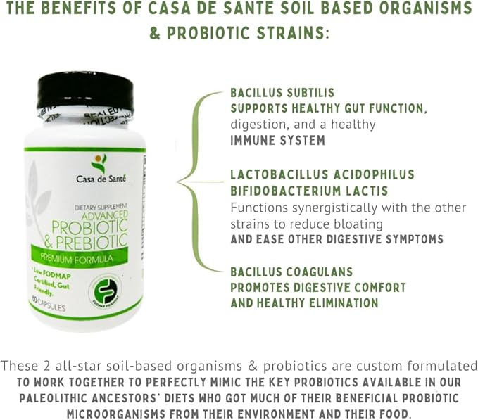 Low FODMAP Certified Probiotic & Prebiotic Synbiotic Supplement, IBS IBD & SIBO Dairy Free Vegan, Soy/Gluten/Inulin Free Non GMO No Gas No Bloating (60 Caps)