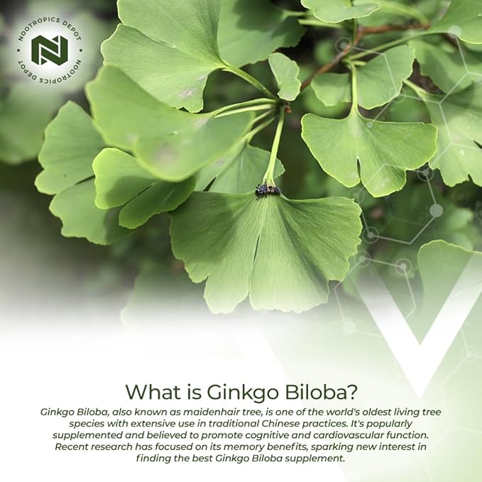 Nootropics Depot Ginkgo Biloba Extract Tablets | 120mg | 90 Count | Minimum 10% Kaempferol Glycoside + 2% Bilobalide | May Help Promote Cognitive & Cardiovascular Function