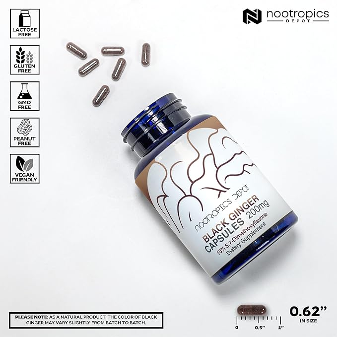 Nootropics Depot Black Ginger Extract Capsules | 10% 5,7-dimethoxyflavone | 180 Count