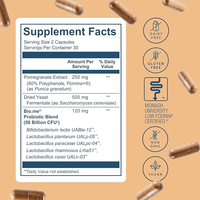 Synbiotic - 3-in-1 Prebiotics and Probiotics for Digestive Health & Immune Support, Men & Womens Probiotics and Prebiotics - Non-GMO Pre Pro Post Biotics for Women & Men - Vegan - 60 Capsules