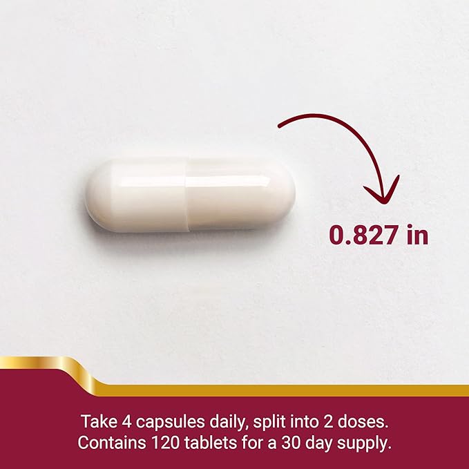 Chondroitin Glucosamine Capsules. Supports Joints and Helps Cartilage Regeneration, 120 Count