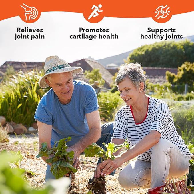 LifeSeasons Mobili-T - Joint Support Supplement - Reduce Inflammation & Aches - Increase Range of Motion - Rebuild Tissue & Cartilage - MSM Chondroitin Collagen Glucosamine & Turmeric - 208 Capsules