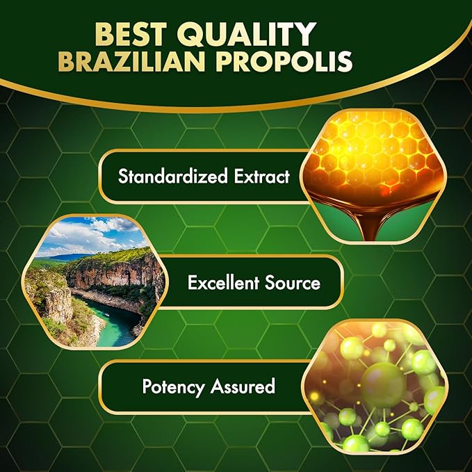 LABO Nutrition Brazilian Green Propolis Ultimate – Propolis Extract with 28mg Artepillin C and 5% Flavonoids Natural Bee Supplement for Immune, Brain Support High Concentrate Propolis, 60 Veg Capsx3