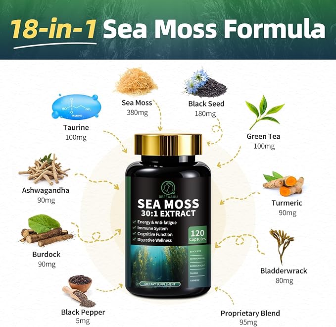 Shilajit for Men, Sea Moss and Shilajit Bundle, All in 1 Supplements with Coenzyme Q10, Black Seed, Ashwagandha, Taurine, Burdock for Energy, Endurance, Antioxidant & Immune Support, 240 Capsules