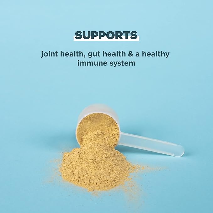 Ancient Nutrition Grass Fed, Cage Free, Bone Broth Protein Powder, 20g Protein, Hydrolyzed Collagen Peptides, Keto & Paleo Friendly, Supports Joint & Gut Health, Pure, 40 Servings