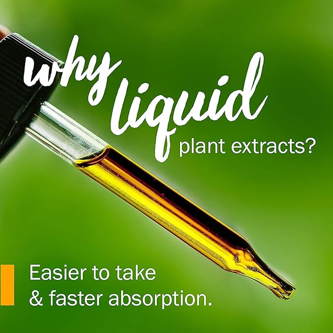 Herb Pharm Certified Organic Ginkgo Liquid Extract for Memory and Concentration - 1 Ounce (781468)