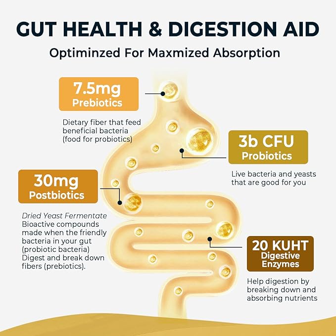 4-in-1 Prebiotic Probiotic & Postbiotic for Women & Men, Complete Gut & Digestive Support Supplement, Pre Post Probiotics & Digestive Enzymes 60 Capsules,Made in USA