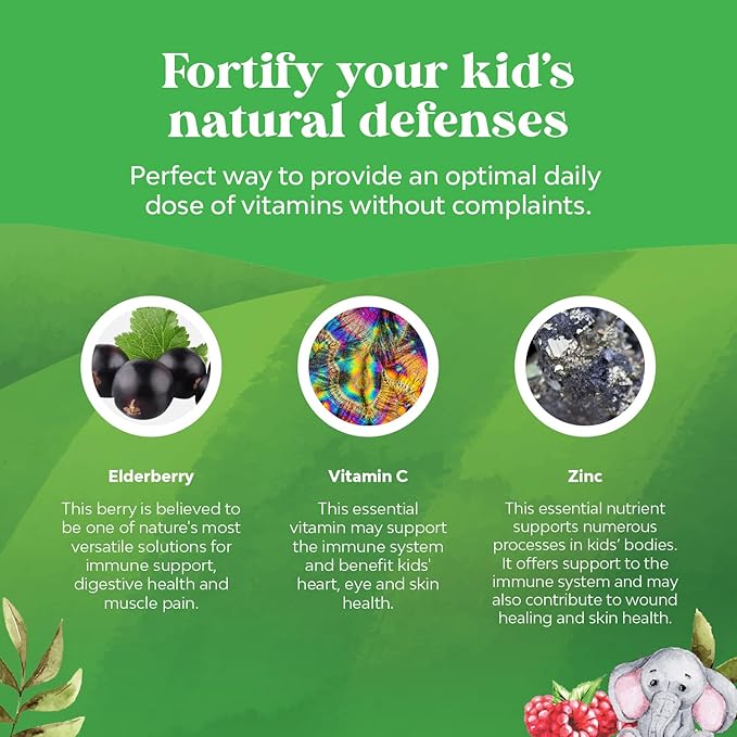 Natures Craft Kids Elderberry Gummies with Zinc and Vitamin C - Delicious Sambucus Black Elderberry Gummies for Kids Immune Support - Daily Immunity Support Vegan Non-GMO Gluten and Gelatin Free