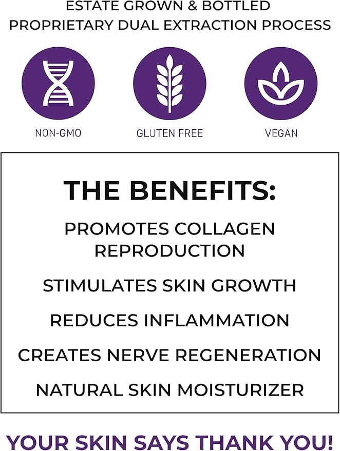 Skin Rejuvenation Supplement - Lion’s Mane, Oyster Mushroom, Vitamin E & Flush Free Niacin -Supports Skin Health & Radiance - 60 Capsules