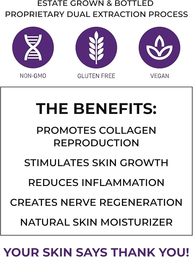 Skin Rejuvenation Supplement - Lion’s Mane, Oyster Mushroom, Vitamin E & Flush Free Niacin -Supports Skin Health & Radiance - 120 Capsules