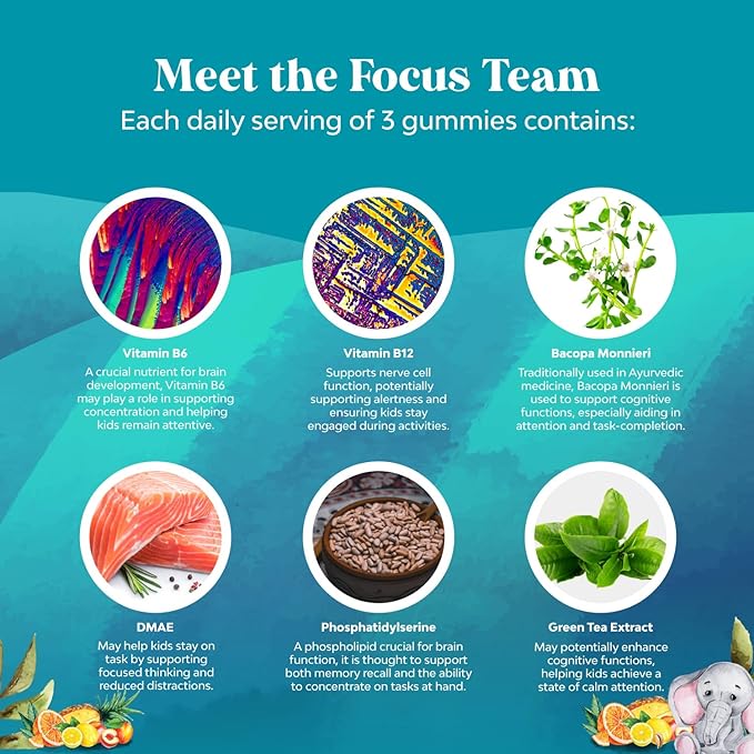 Kids Focus Gummies - Nootropics Brain Support Supplement for Kids with Green Tea Extract, B6 & B12 Vitamins for Memory and Brain Focus - Herbal Concentration Chews for Children - 90 Count