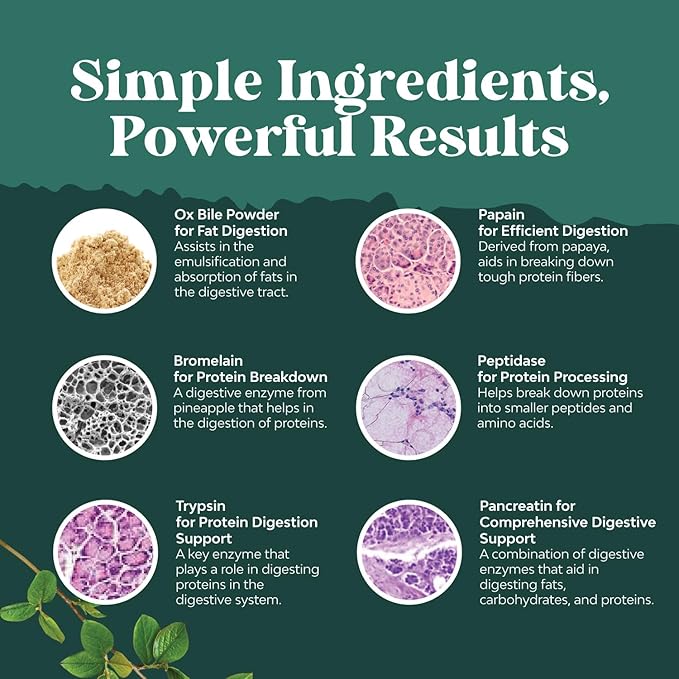 Digestive Enzymes with Ox Bile - Ox Bile Supplements for No Gallbladder with Trypsin, Papain & Bromelain Enzyme for Pancrease Cleanse & Detox - Pancreatin Digestion Enzymes for Women & Men - 90 Ct