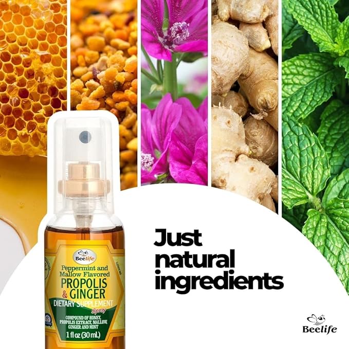 Beelife Propolis Throat Spray – Soothing Honey & Ginger Propolis - Natural Immune Support & Sore Throat Relief, Antioxidants, Rich in Flavonoids & Artepillin C, No Sugar, Gluten-Free - 1-Pack, 30ml