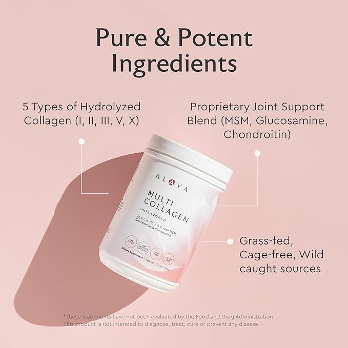 Alaya Multi Collagen Powder - Type I, II, III, V, X Hydrolyzed Collagen Peptides Protein Powder Supplement with MSM + GC (Chocolate)