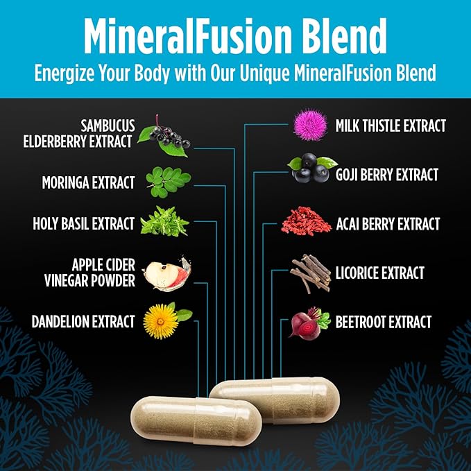 STAY ALIVE Irish Sea Moss Black Seed Oil Ashwagandha Ginger Burdock Root Bladderwrack Powder, 23-in-1 Advanced Supplement, 60 Vegan Pills, Non-GMO and Gluten-Free Sea Moss Extract Capsules