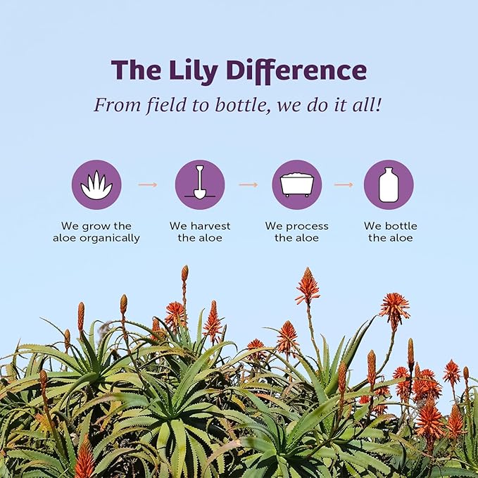 Lily Of The Desert Stomach Formula, Organic Aloe Vera Juice with Slippery Elm, Chamomile, Peppermint, and Ginger for Gut Health, Acid Reflux, Heartburn Relief, 32 Oz (Pack of 2)