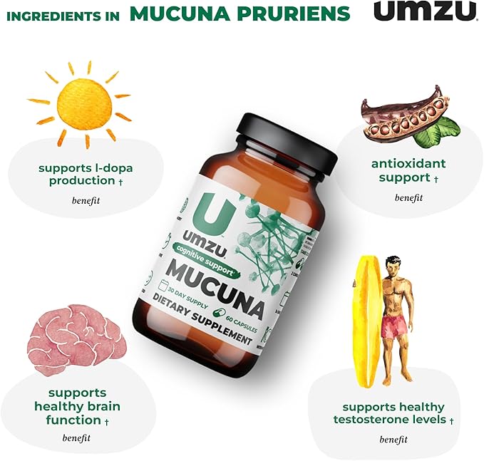 UMZU Mucuna Pruriens - Dopamine Production Support - Brain, Well-being & Memory Health - Antioxidants & Hormone Support - 30 Day Supply - 60 Capsules