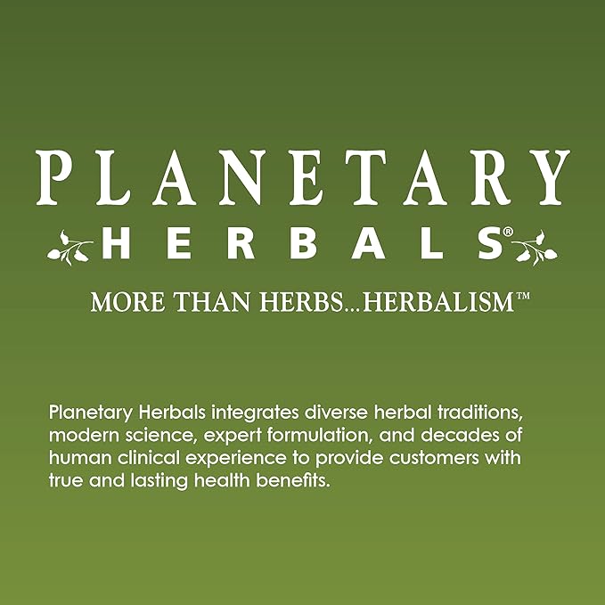 Planetary Herbals Ginkgo Awareness Tablets, 120 Count