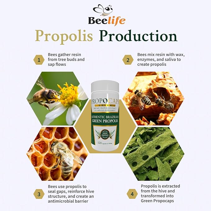 Beelife Green Propolis Capsules- 100% Green Propolis and Bee Pollen Capsule Supplement- Propolis Extract, Authentic Brazilian Green Propolis Capsules - Certified ISO 22000, Kosher (120 Capsules)