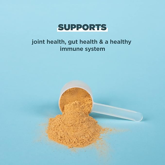 Ancient Nutrition Grass Fed, Cage Free, Bone Broth Protein Powder, 20g Protein, Hydrolyzed Collagen Peptides, Keto & Paleo Friendly, Supports Joint, Gut Health, Chocolate, 40 Servings