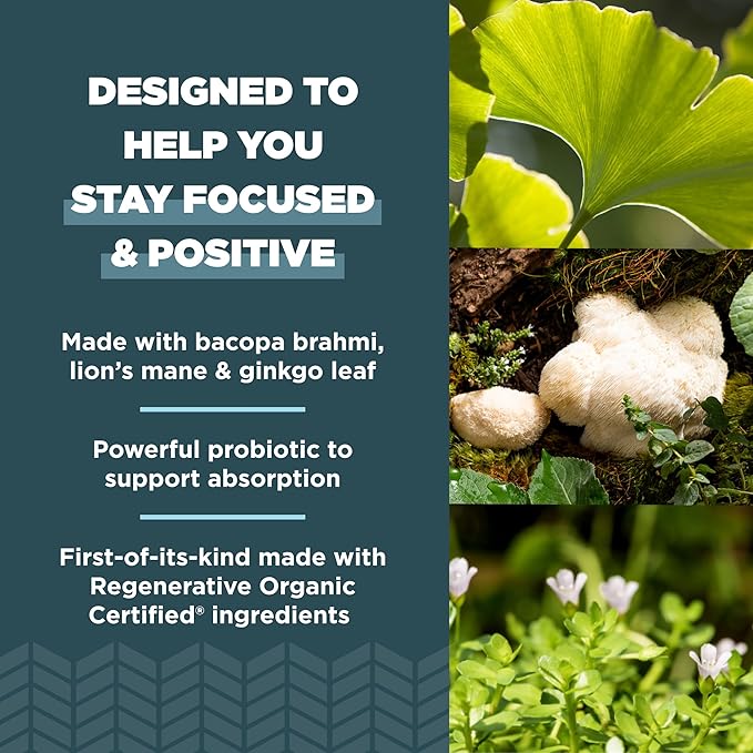 Ancient Nutrition Regenerative Organic Certified Focused Brain Capsules, Made with Ginkgo Leaf, Lion's Mane to Help Reduce Stress, Gluten Free, Paleo and Keto Friendly, 90 Count
