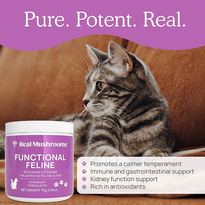Cat Vitamins Supplement - 2.65 oz Cat Mushroom Functional Feline Supplement - Mushroom Blend Powder - - Mushroom Powder with Antarctic Krill, Ashwagandha & Functional Organic Mushrooms