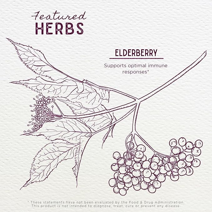 WishGarden Herbs Organic Elderberry Tincture - Daily Adult Elderberry Extract Liquid Immune Defense Supplement, Sambucus Elderberry Immune Support, Organic Elderberry Extract, No Sugar No Honey, 2oz