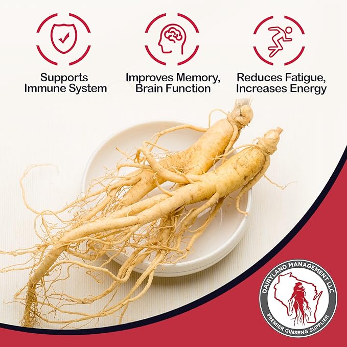 Dairyland American Ginseng Capsules, 75 ct (500 mg) – Authentic Wisconsin Ginseng Root Extract – Daily Herbal Supplement for Immune Support