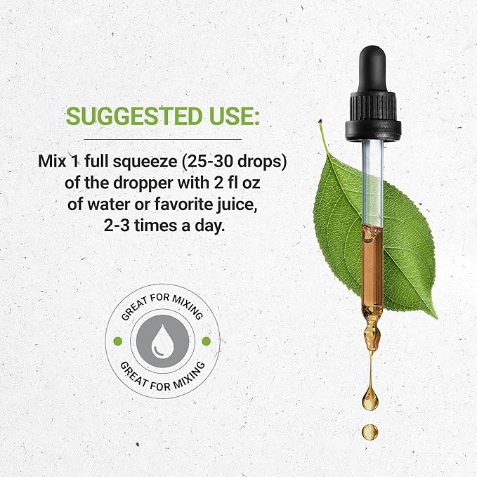 Stamina Secret Alcohol-Free Extract, Tincture, Glycerite Maca, Schisandra, Eleuthero Siberian Ginseng, Gotu Kola, Barrenwort - Horny Goat Weed, Rhodiola. Energy Endurance Vigor (4 fl oz)