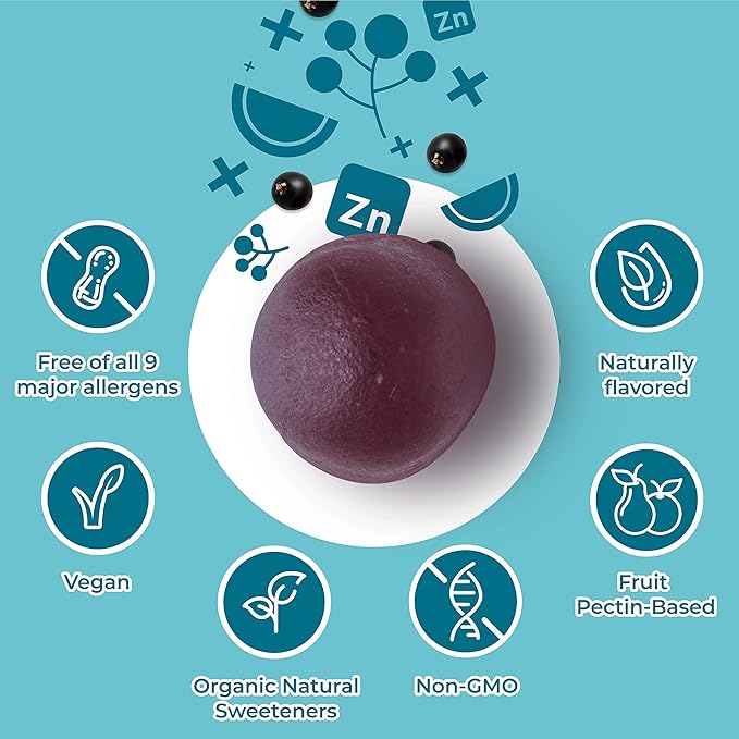 Hyland's Kids Organic Elderberry Plus Gummies, Organic Black Elderberry with ZINC and Vitamin C, Immune Support for Children, 48 Vegan Gummies
