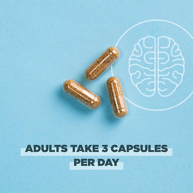 Ancient Nutrition Regenerative Organic Certified Focused Brain Capsules, Made with Ginkgo Leaf, Lion's Mane to Help Reduce Stress, Gluten Free, Paleo and Keto Friendly, 90 Count
