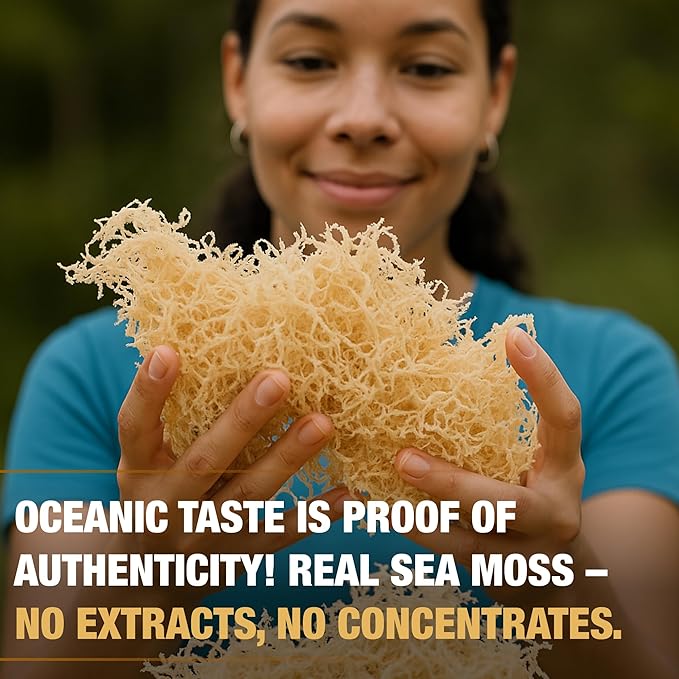 Sea Moss Gel - Propolis Apple Cinnamon 16oz, Wildcrafted Irish Seamoss with Essential Vitamins & Trace Minerals, Vegan Superfood Made in USA