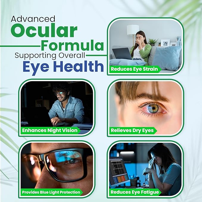 DR VITAMIN SOLUTIONS Vision Support Eye Vitamins for Macular Health | Supplements with Lutein, Zinc, Vitamin A & Bilberry | Areds 2 Formula for Red & Dry Eyes, Sight Care (1 Bottle, 60 Capsules)