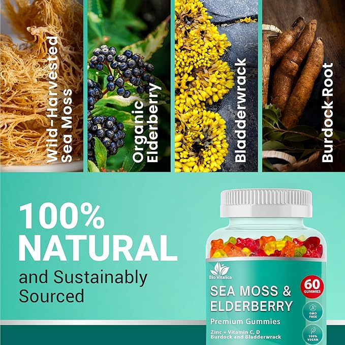 BIO VITALICA Sea Moss Gummies Elderberry BioVitalica - Vitamin C D + Zinc - Irish Seamoss Vegan Gummy with Sea Moss Gel & Powder for Immunity, Detox - for Adults and Kids (4Packs)