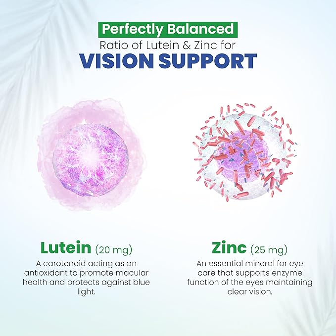 DR VITAMIN SOLUTIONS Vision Support Eye Vitamins for Macular Health | Supplements with Lutein, Zinc, Vitamin A & Bilberry | Areds 2 Formula for Red & Dry Eyes, Sight Care (1 Bottle, 60 Capsules)