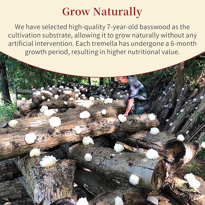 Wanhua Hall Dried White Snow Fungus Mushroom Whole White Wood Ear Mushroom for Cooking Tremella Fuciformis Mushroom 3.5oz/100g All Natural Vegan,Gluten-Free,No Additive 银耳 椴耳 雪耳 去根椴木小银耳