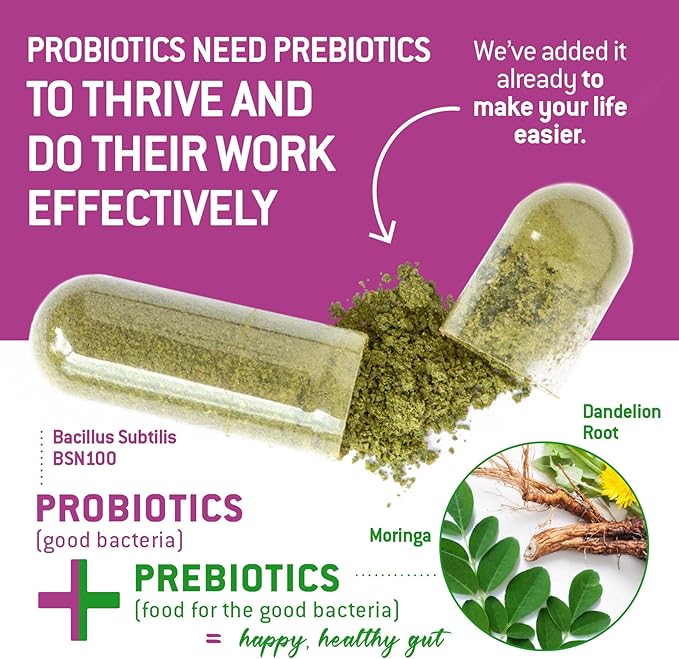 Bacillus Subtilis Spore Based Probiotic — High Potency Strain with Prebiotic for Balanced Belly | Daily Gut Health & Microbiome Support for Family | 6 Billion CFU Per Day | 180 Vegetarian Capsules