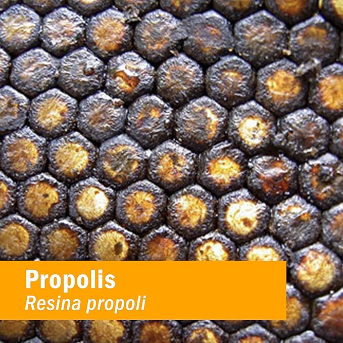 Herb Pharm Propolis Extract for Immune System Support - 1 Ounce