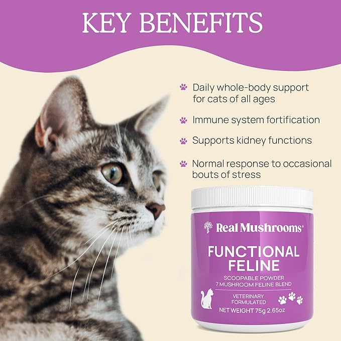 Cat Vitamins Supplement - 2.65 oz Cat Mushroom Functional Feline Supplement - Mushroom Blend Powder - - Mushroom Powder with Antarctic Krill, Ashwagandha & Functional Organic Mushrooms